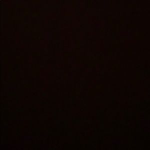 Meet your Posher, Marlon